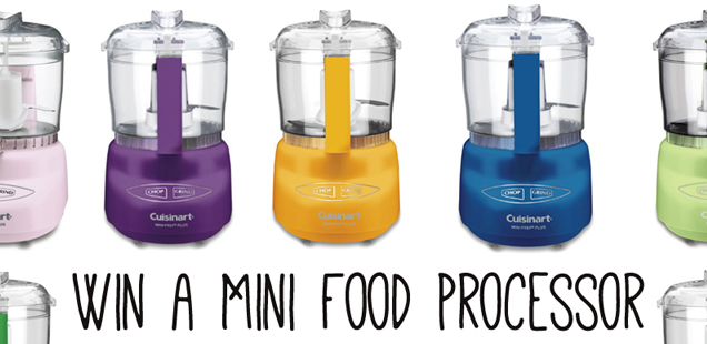 Mini Food Processor