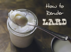 how to render lard