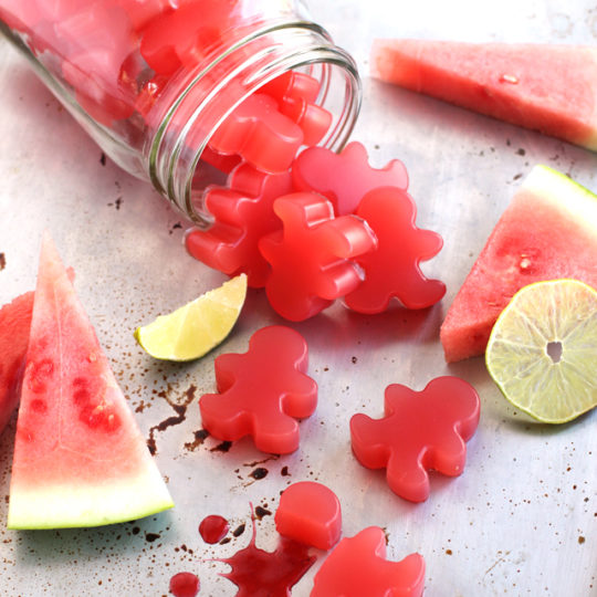 Sour Watermelon Homemade Gummies from http://meatified.com - just 4 ingredients or less! #paleo #gummies #glutenfree