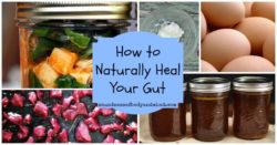 How To Naturally Heal Your Gut
