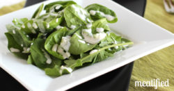 Green Onion Dressing - no dairy, no hassle from http://meatified.com