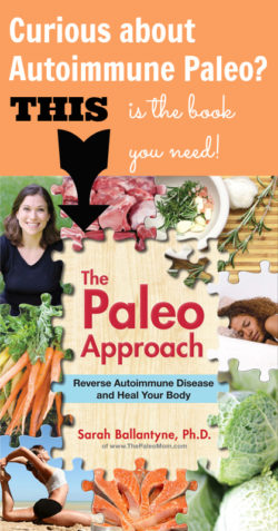 The Paleo Approach is the most comprehensive guide to #autoimmune #paleo ever! #aip