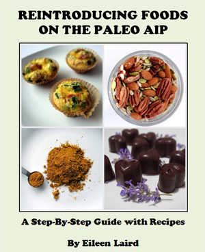 Reintroducing Foods on the Autoimmune Protocol - A Step by Step Guide with Recipes - review by http://meatified.com