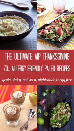 The Ultimate AIP Thanksgiving! 70+ Paleo recipes that are also grain, dairy, nut, seed, nightshade and egg free | http://meatified.com