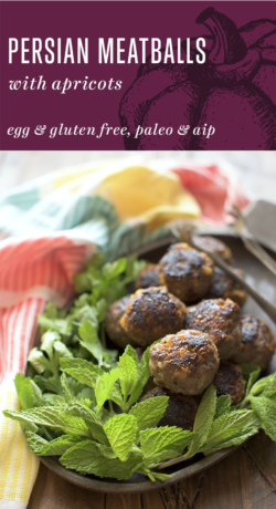 These Herbed Persian Meatballs with Apricots from http://meatified.com are the perfect balance of sweet and savory. They're egg & gluten free, AIP & allergy friendly, too.
