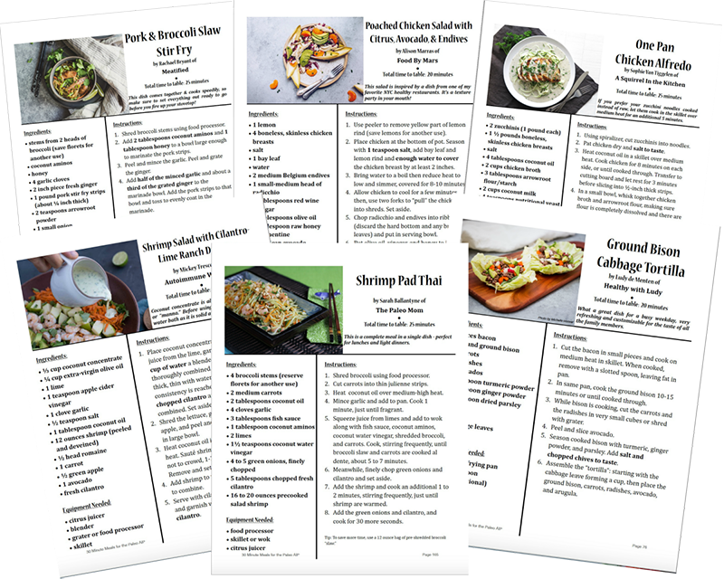 30 Minute Meals for the Paleo AIP: 120 complete AIP meals, 300+ separate recipes