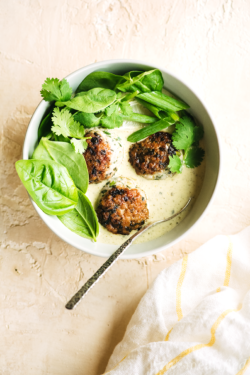 Herb studded meatballs take a dip in a nightshade free, aromatic Thai green curry sauce from https://meatified.com that will have you licking the bowl when you're done!