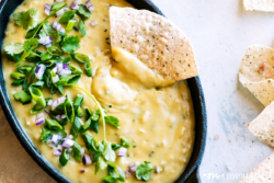 If you're looking for a creamy, deliciously melty dip that satisfies, then this allergy friendly take on queso dip from https://meatified.com is for you! Dairy & nut free.