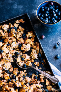 This blueberry granola from https://meatified.com is magical: it's totally grain, nut & seed free, but it still has the addictive combination of chewy & crunchy clusters you crave!